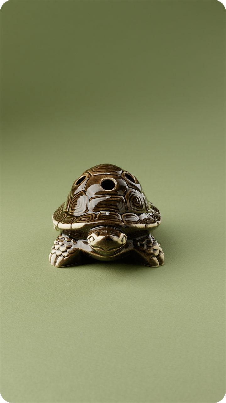 Аромакамень "Черепаха" - фото 11556