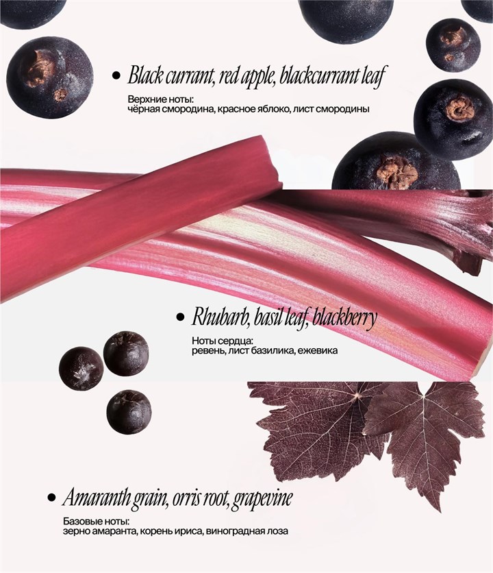 Дезодорант-сыворотка с пребиотиками Prebiotics Black Currant/Rhubard - фото 13659