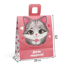 Пакет подарочный с формовым клапаном «Котик», 23х27х11,5см